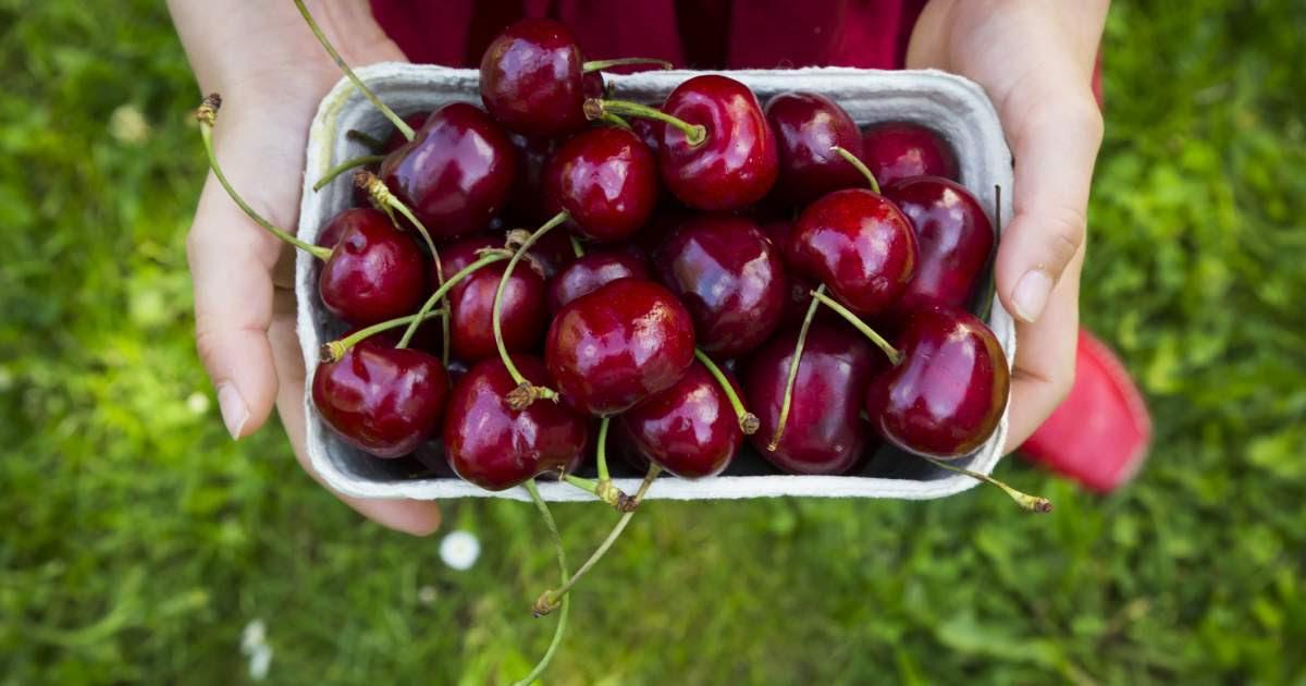 5 érv amellett, hogy minden nap együnk tojást!